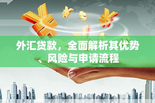 郧阳外汇贷款，全面解析其优势、风险与申请流程