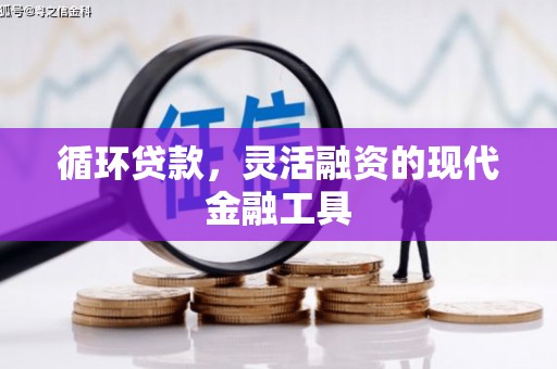 郧阳循环贷款，灵活融资的现代金融工具