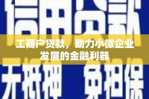 郧阳工商户贷款，助力小微企业发展的金融利器