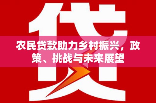 郧阳农民贷款助力乡村振兴，政策、挑战与未来展望