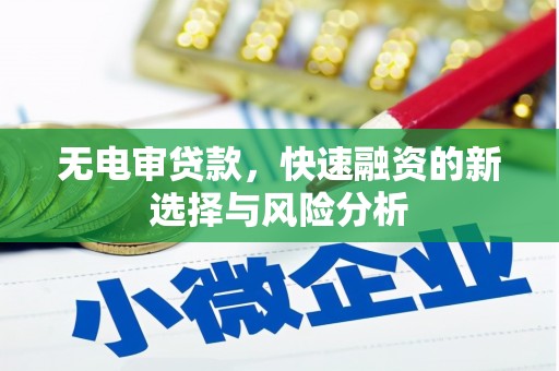 郧阳无电审贷款，快速融资的新选择与风险分析