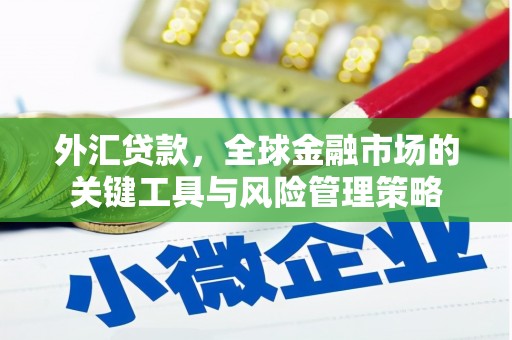 郧阳外汇贷款，全球金融市场的关键工具与风险管理策略
