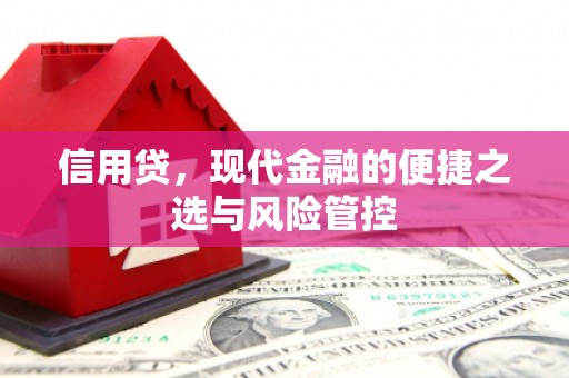 郧阳信用贷，现代金融的便捷之选与风险管控