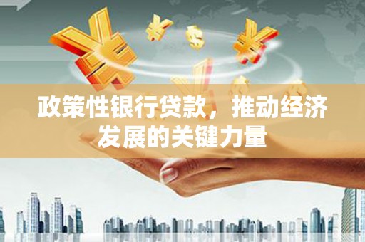 郧阳政策性银行贷款，推动经济发展的关键力量