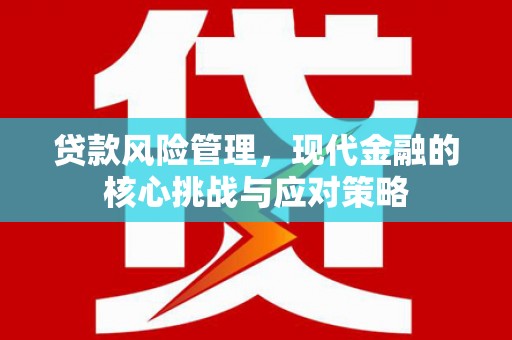 郧阳贷款风险管理，现代金融的核心挑战与应对策略
