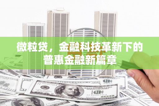 郧阳微粒贷，金融科技革新下的普惠金融新篇章