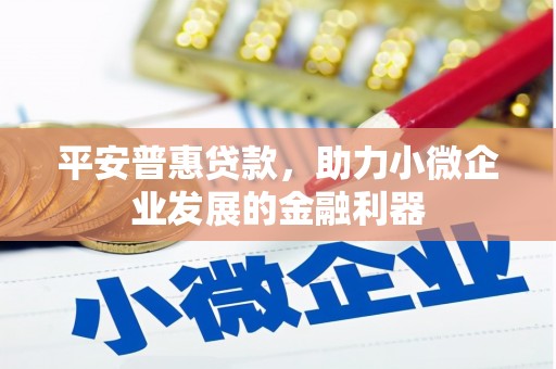 郧阳平安普惠贷款，助力小微企业发展的金融利器