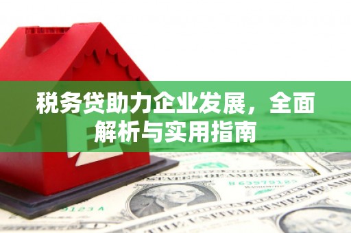 郧阳税务贷助力企业发展，全面解析与实用指南