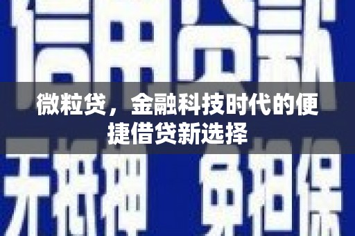 郧阳微粒贷，金融科技时代的便捷借贷新选择