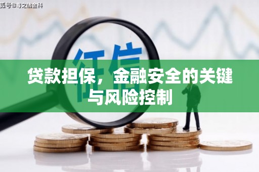 郧阳贷款担保，金融安全的关键与风险控制