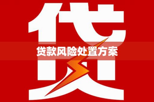 郧阳贷款风险处置方案