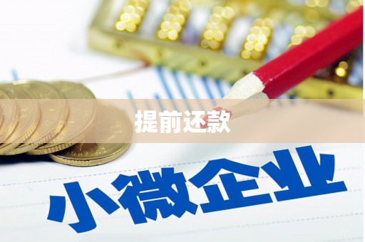 郧阳提前还款